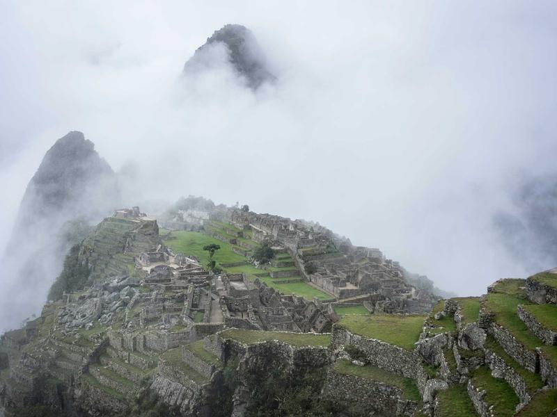 sudoku no mistakes screenshot 2