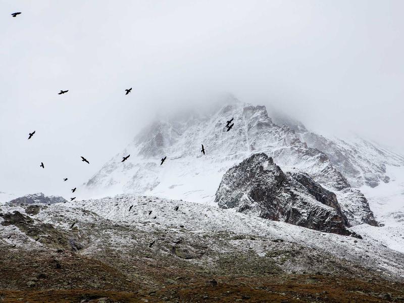 sudoku no mistakes screenshot 1